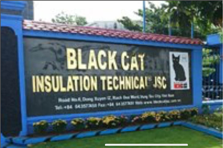 Black-Cat-JSC